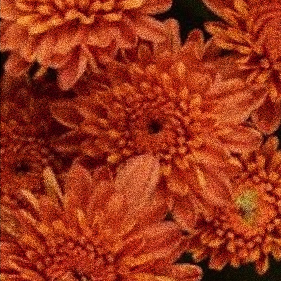 Tarot Card Enamel Pin - The Guac - Picture 4 of 5